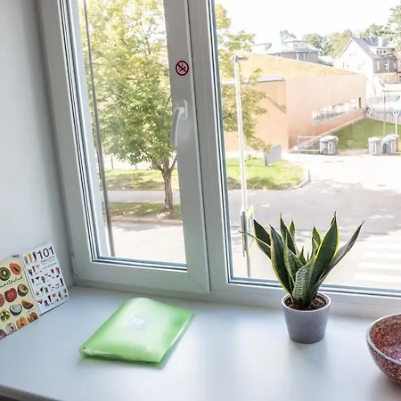 Tiigi Str Flats Beside Old Town, Parking