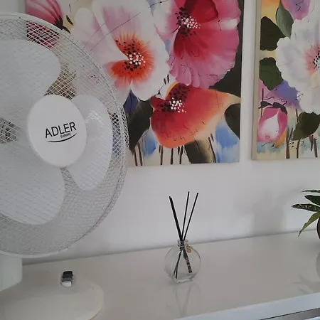 Tiigi Str Flats Beside Old Town, Parking *