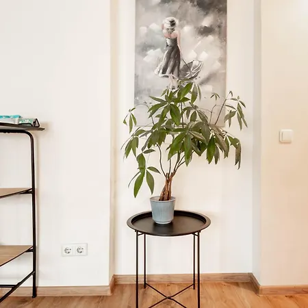 Tiigi Str Flats Beside Old Town, Parking Apartment