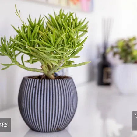 Tiigi Str Flats Beside Old Town, Parking Apartamento Tartu