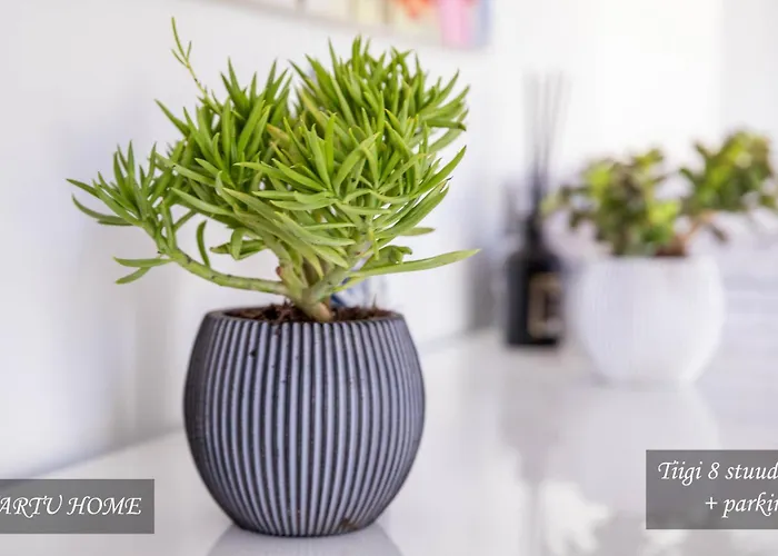 Tiigi Str Flats Beside Old Town, Parking Apartament Tartu